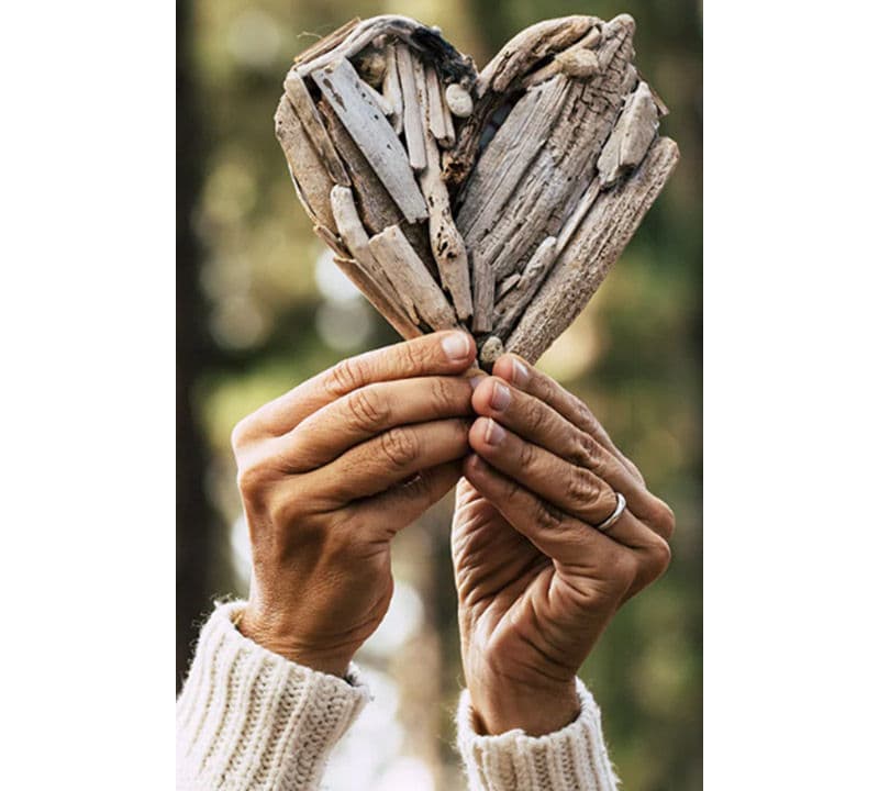 WorldClimate Sustainability Heart
